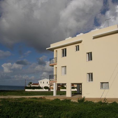 Athena And The Owl Beachside Apt Paphos Bagian luar foto