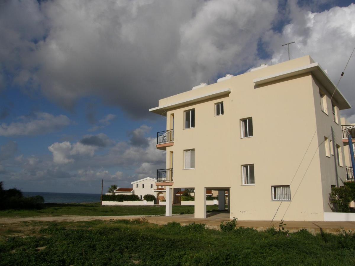 Athena And The Owl Beachside Apt Paphos Bagian luar foto